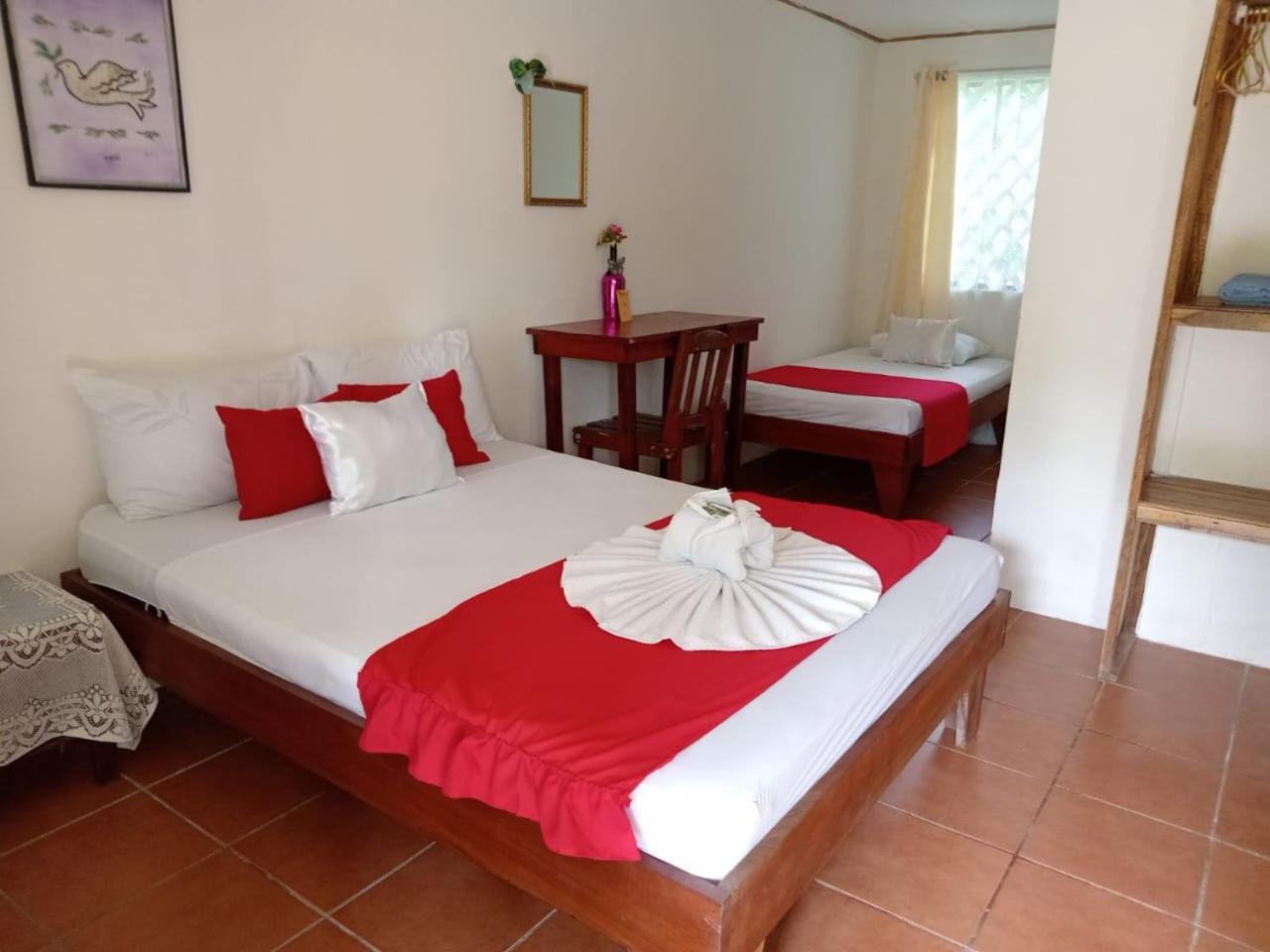 All Rankins Eco-Lodge Tortuguero Bilik gambar