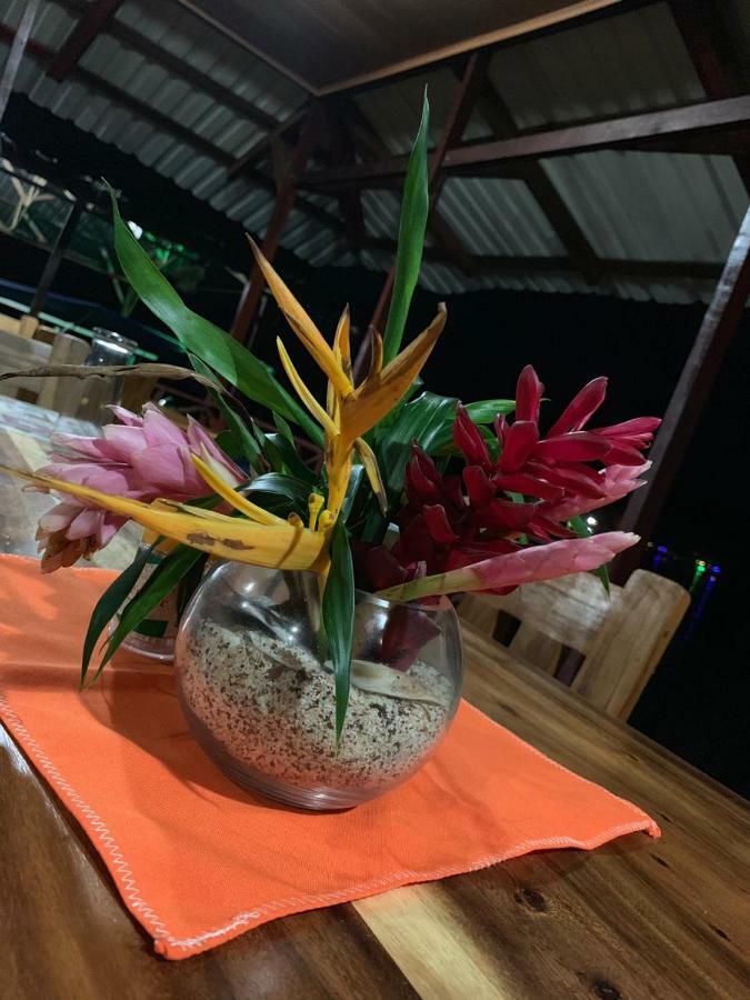 All Rankins Eco-Lodge Tortuguero Luaran gambar