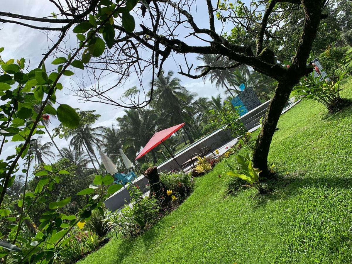 All Rankins Eco-Lodge Tortuguero Luaran gambar