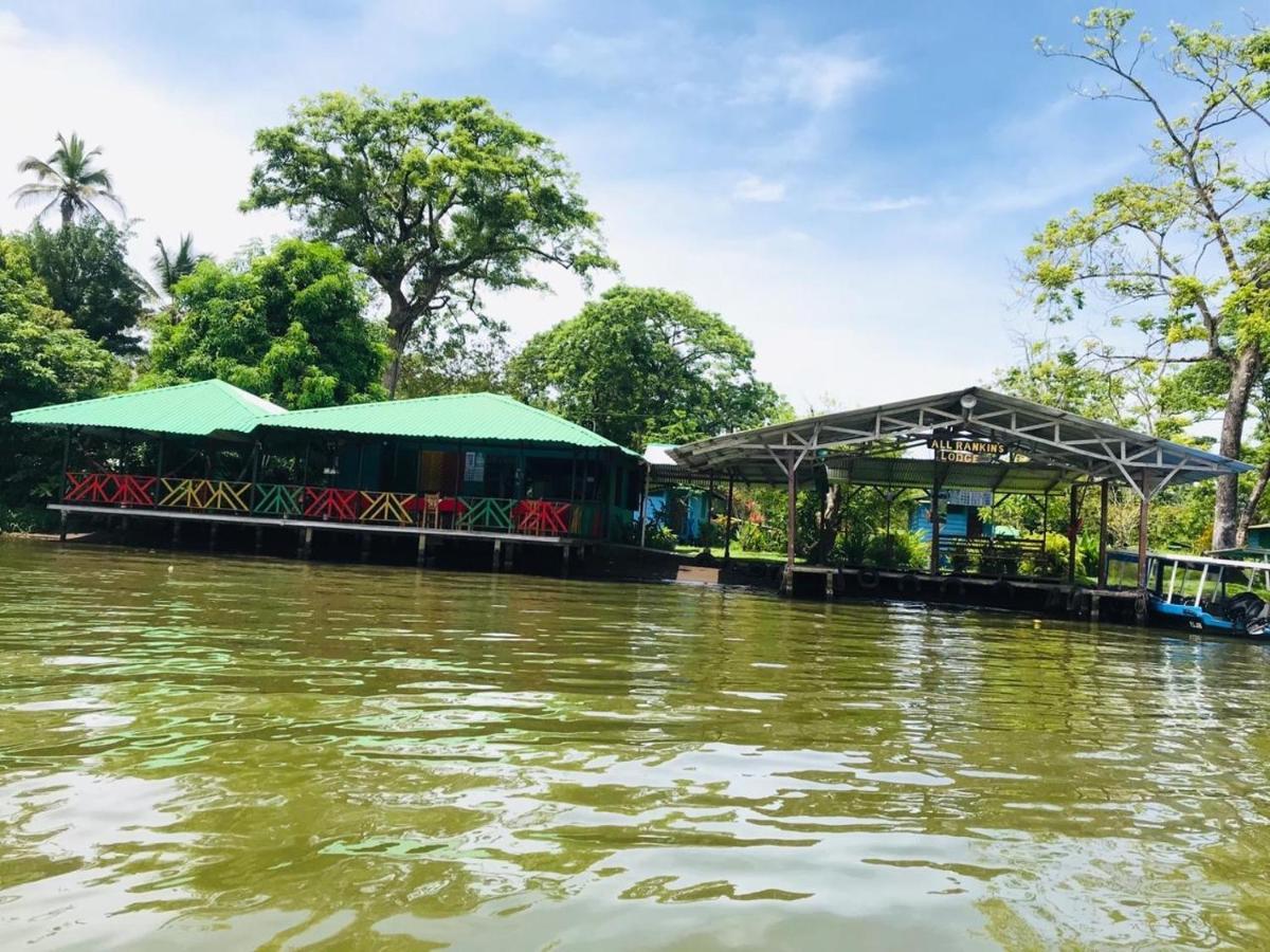 All Rankins Eco-Lodge Tortuguero Luaran gambar